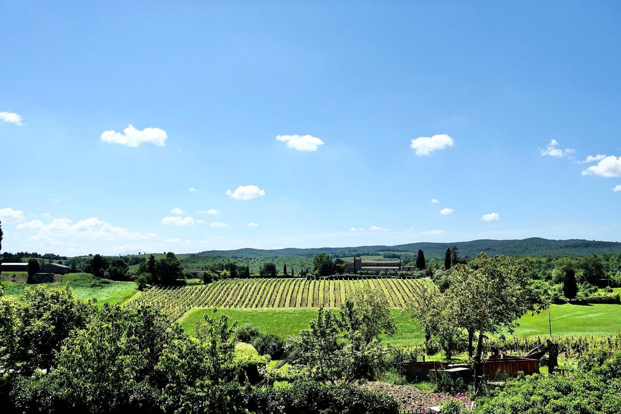 Villa Buonsignori - Wine & Olive Oil Farm Corsano  Exterior photo